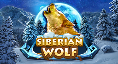siberian wolf เกมสล็อตที่จะพาเพื่อนๆ ไปสนุกกับเจ้าหมาป่าที่ชื่นชอบการผจญภัย